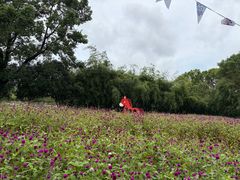 -锦屏公园