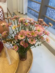 -JNK皮肤管理中心