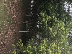 -江南大学(蠡湖校区)