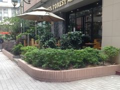 -咖法森林·咖啡  酒吧(天河店)