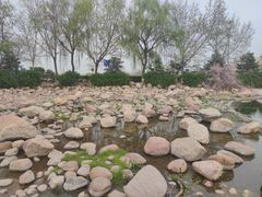 -秀水公园