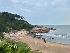 -广东惠东海龟国家级自然保护区