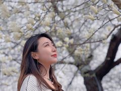 -护国法轮寺