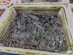 -先锋海鲜市场