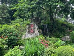 -广州市白云山风景名胜区
