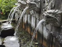 -蝴蝶泉公园