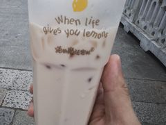 -猫的魔法密林(衣裳街店)