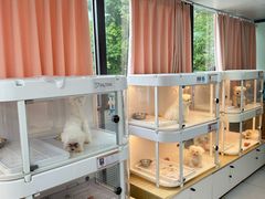 -翊宠yipet猫狗购宠庄园犬舍•猫舍