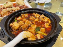 陈麻婆豆腐-陈麻婆豆腐(春熙店)