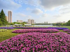 -黄兴公园