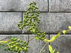 -霆记海鲜·只为这碗面(滨江店)