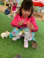 -萌宠亲子动物乐园(槐房万达店)