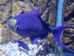 -常州海昌海洋探索馆