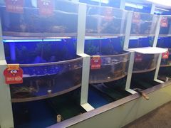 水产区-七欣天香辣蟹火锅(上海银亿滨江店)
