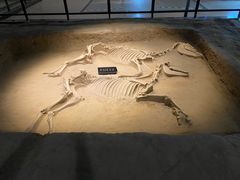 -洛阳周王城天子驾六博物馆