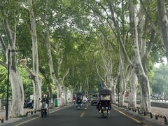 -李公堤