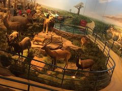 -陕西自然博物馆