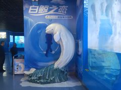 -多彩贵州城极地海洋世界