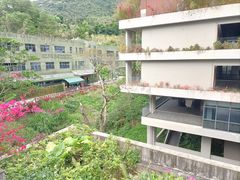 -深圳仙湖植物园