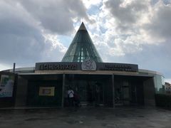 -济州岛泰迪熊博物馆