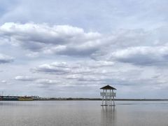 -呼兰河口湿地公园