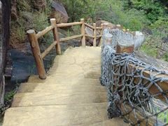 -广州白江湖森林公园