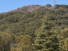 -外蒲山