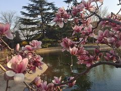 -国家植物园南园