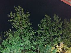 -宝荣鱼馆·临湖之宴(千岛湖店)