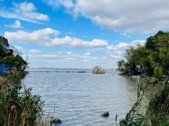 -上海吴淞炮台湾国家湿地公园