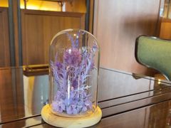 -诺金酒店·大堂吧(望京店)