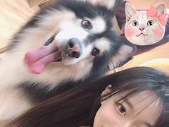 -白兔子密室(长寿路店)