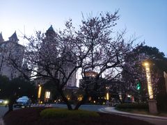 -上海浦东星河湾酒店