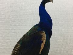-吉林市博物馆