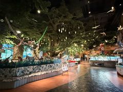 -杭州开元森泊度假乐园