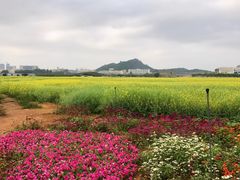 -光明小镇欢乐田园