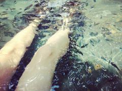 android_upload_pic-三亚珠江南田温泉度假区
