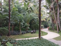 -三亚湾海居铂尔曼度假酒店