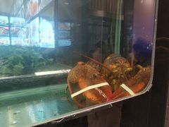 -斯通泰伯酒店-餐厅