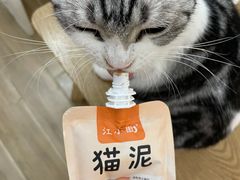 -李小姐の猫咖啡馆(五角场店)