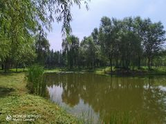 -东郊湿地公园