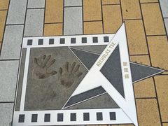 -星光大道