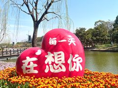 -上海鲜花港