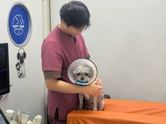 -芭比堂动物医院·24小时·眼科中心(深圳中心)