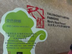 -三亚亚龙湾人间天堂鸟巢度假村