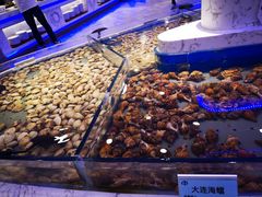-澜悦港海鲜体验主题餐厅