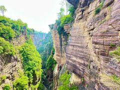 -王莽岭风景区
