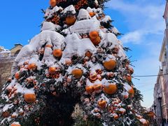 -老阿尔巴特大街