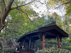 -杭州半山国家森林公园