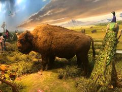 -陕西自然博物馆